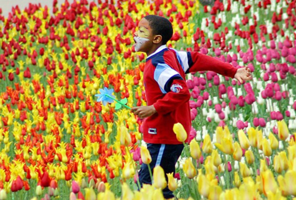 Photo courtesy of the Huntington Tulip Festival