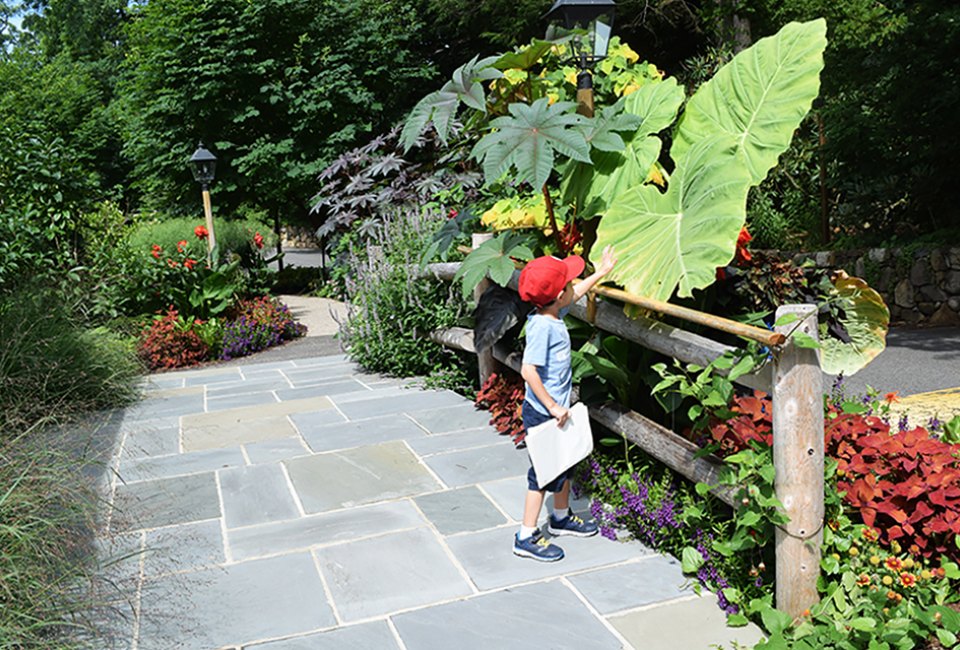 Kids and grown-ups alike will love exploring the lush gardens at Reeves-Reed Arboretum. 