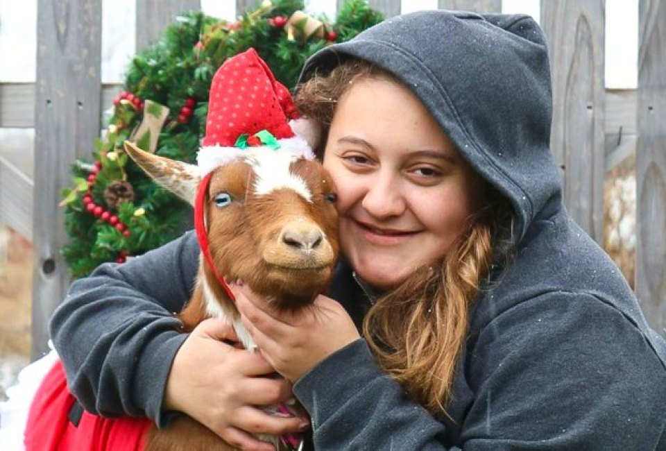 Strike a pose with a goat reindeer for this year's holiday card. Photo courtesy of Bradley Mountain Farm