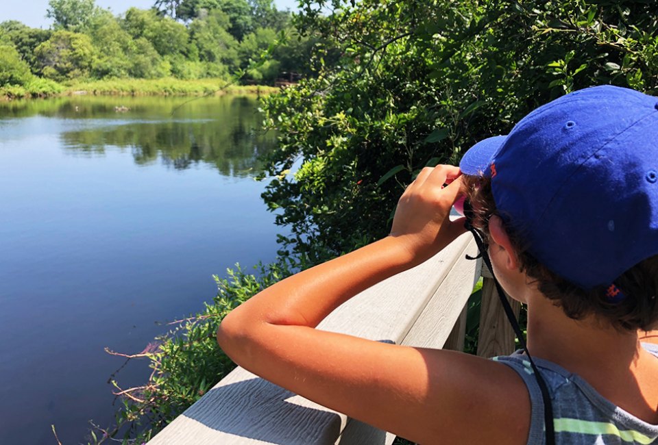 Bring your binoculars and spy some wildlife around the Quogue Wildlife Refuge pond.