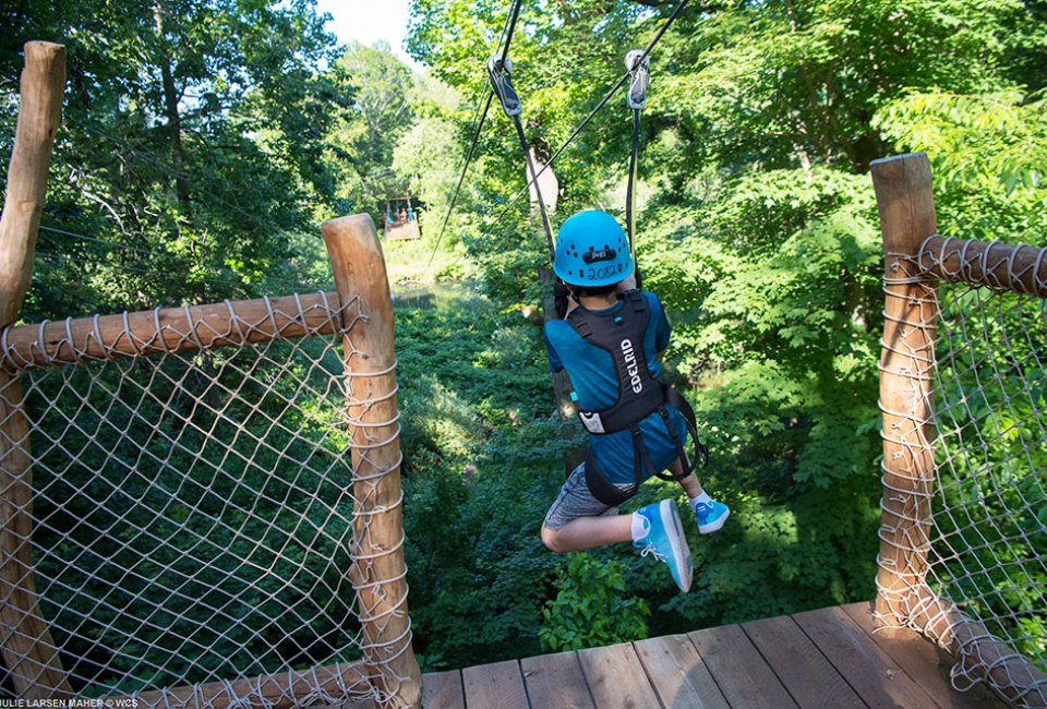 Test your comfort zone on the zip line at the Bronx Zoo's Treetop Adventure.