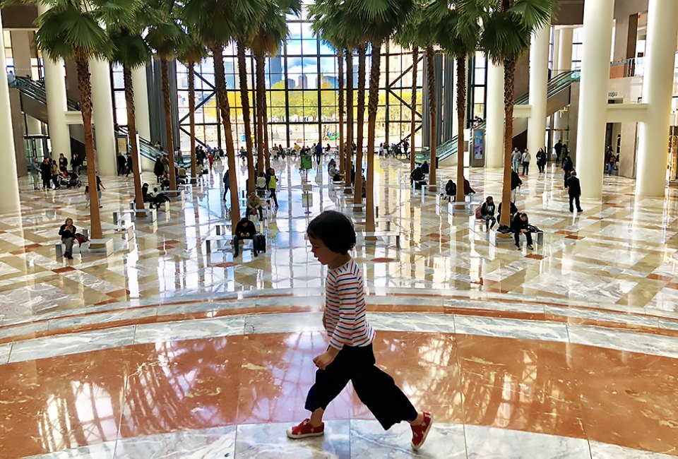 Explore the plants, trees, flowers, shops, and public art at the Winter Garden atrium at Brookfield Place. Photo by Janet Bloom