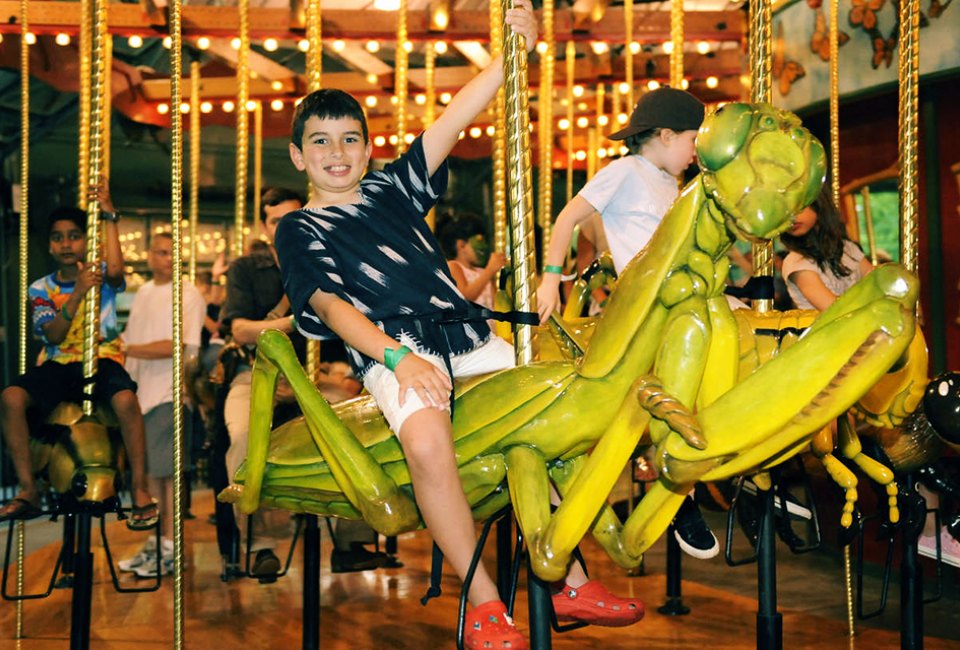 Carousels in NYC: Bronx Zoo's Bug Carousel