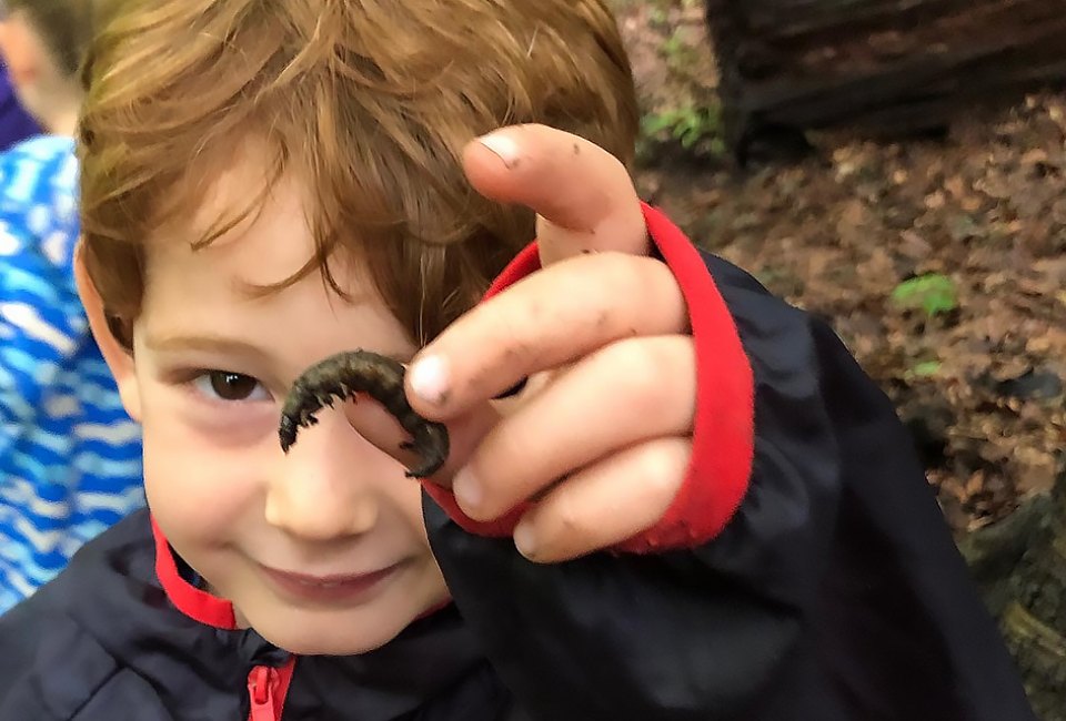 Learn all about insects at the Greenburgh Nature Center on Saturday, November 16. Photo courtesy of the center