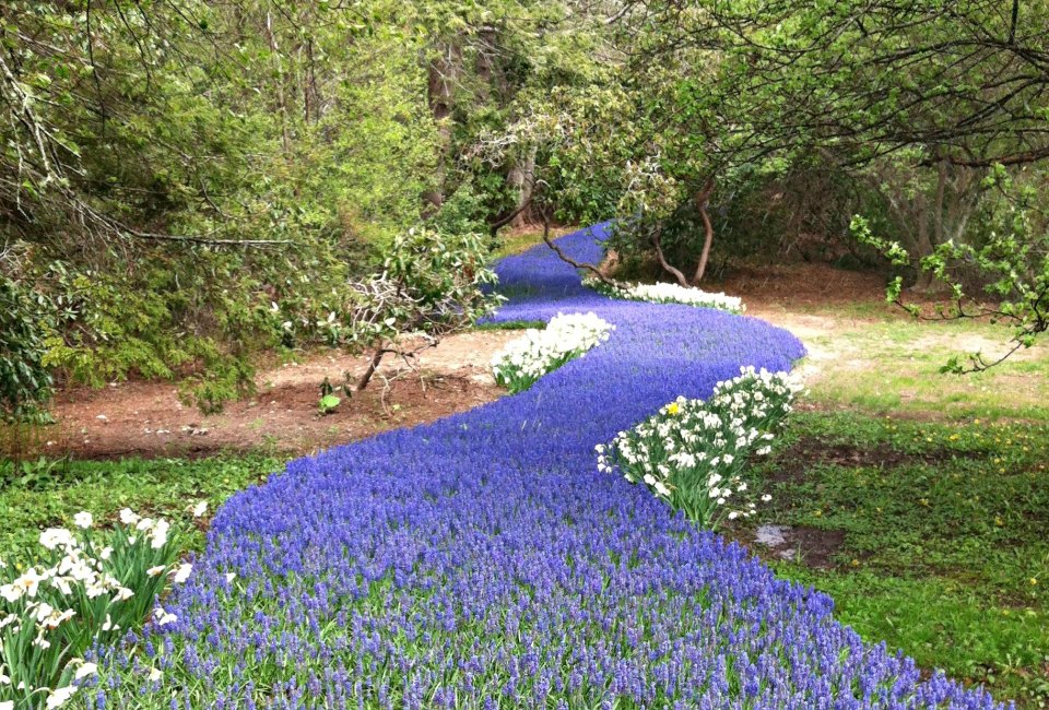 Spring Family Day Trips That Boston Kids Will Love: Flowers in Sandwich