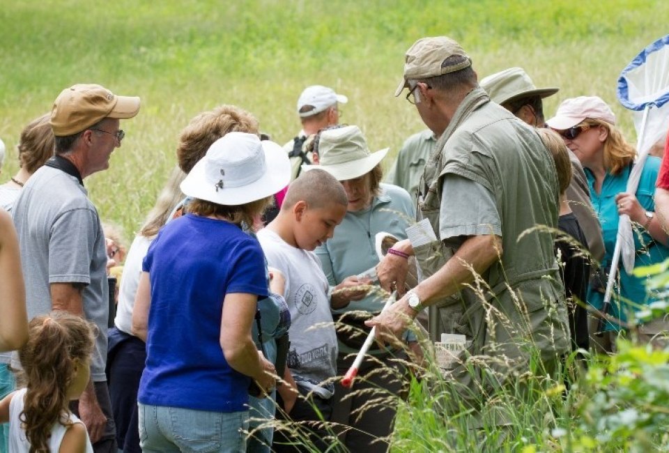 Butterfly Hunt. Photo courtesy of Cedar Hill Foundation