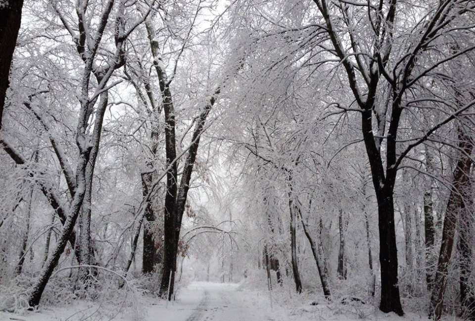 Caleb Smith State Park Cross-Country Skiing Near NYC