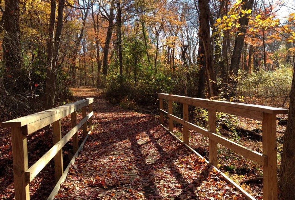 Caleb Smith State Park nature walks LI