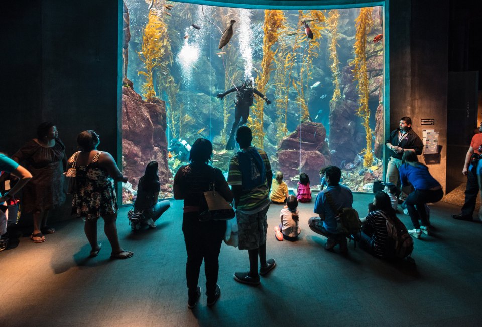 Dive into science! Photo by (c) Jonathan Selig 2025, courtesy of California Science Center