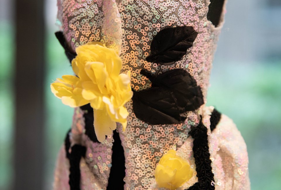 Canine Couture: An Exhibition of Anthony Rubio Designs at the Dog Museum