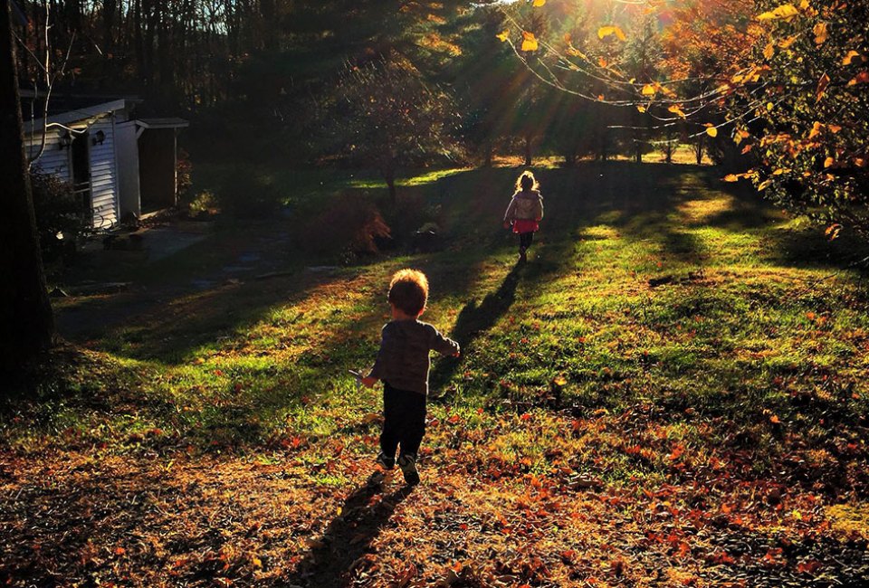 Romp through the woods in the beautiful Catskills. Photo by Deborah Dadlani