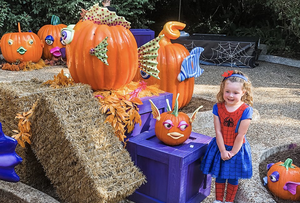 SeaWorld Orlando's Halloween Spooktacular will be entertaining kids until November 3. Photo by author