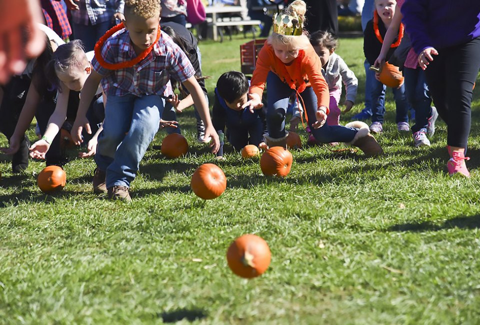 Celebrate the grand seasonal opening of the barnyard pumpkin patch at Harbes Family Farm. Photo courtesy of the farm