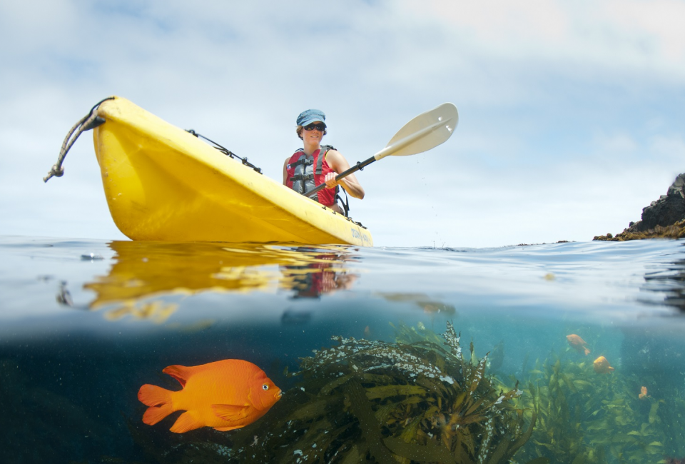 Family Travel Bucket List : Visiting California's Channel Islands No kayaking experience required to visit the sea caves and see the sea lions. Photo by Ralph A. Clevenger/ Santa Barbara Adventure Company