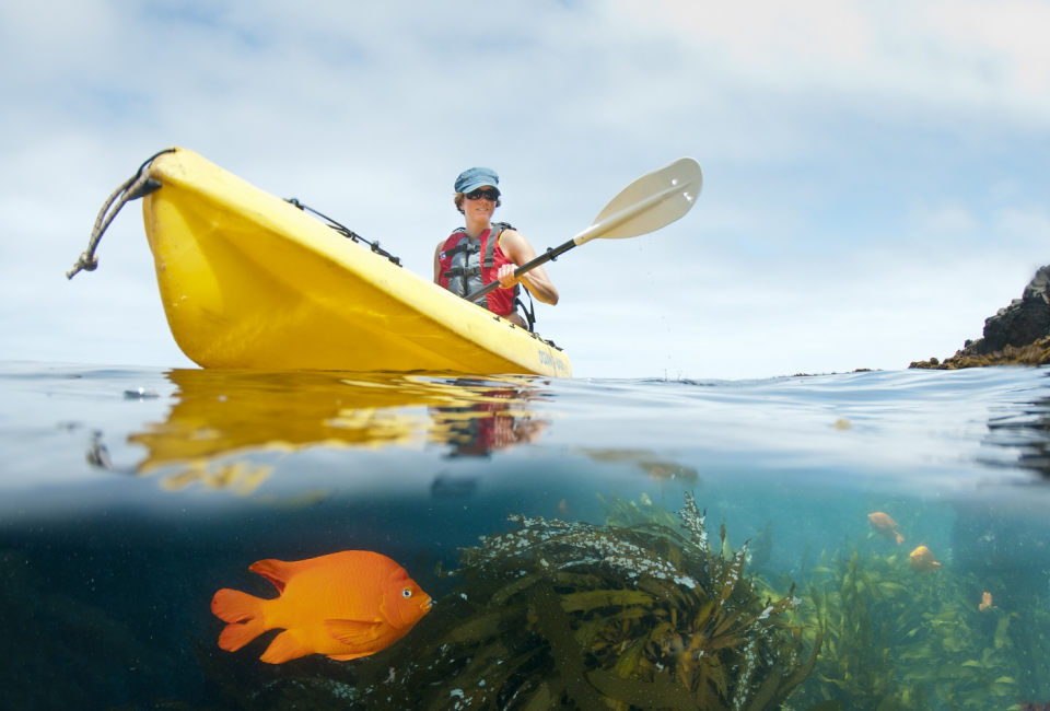 No kayaking experience required to visit the sea caves and see the sea lions. Photo by Ralph A. Clevenger/ Santa Barbara Adventure Company