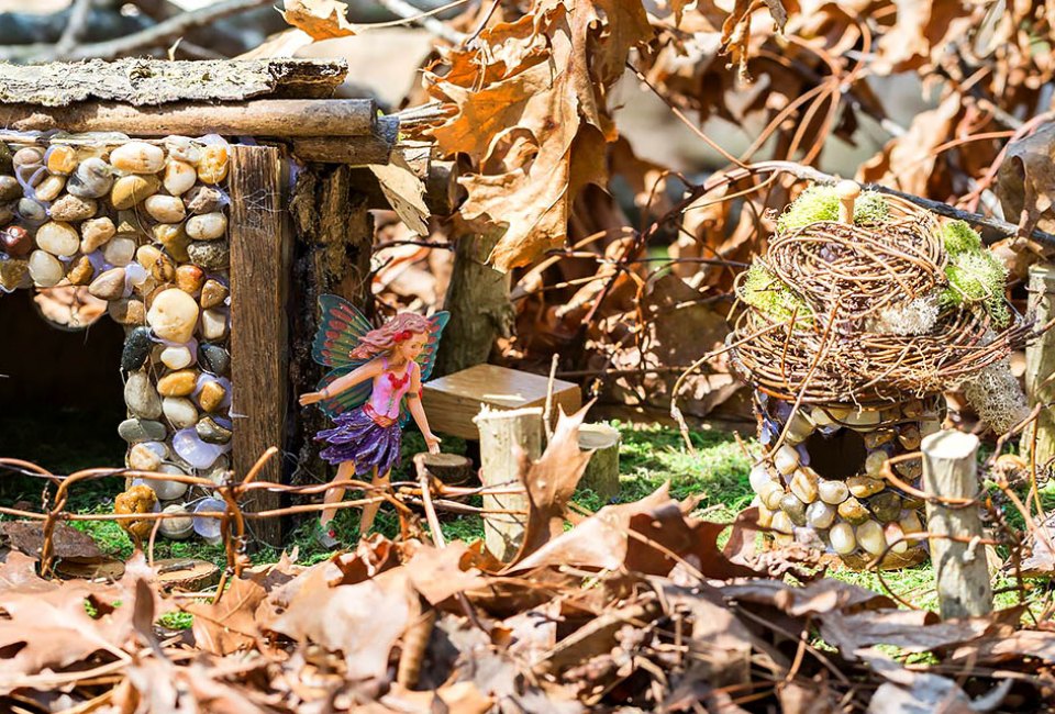 See if you can spot  a fairy or gnome along the trails at Chattahoochee Nature Center. Photo courtesy of the center