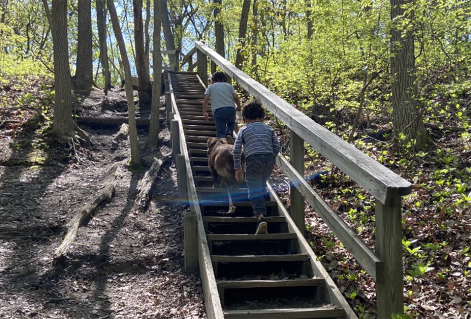 Kids hiking going up a set of stairs in the woods on a New Jersey summer day trip