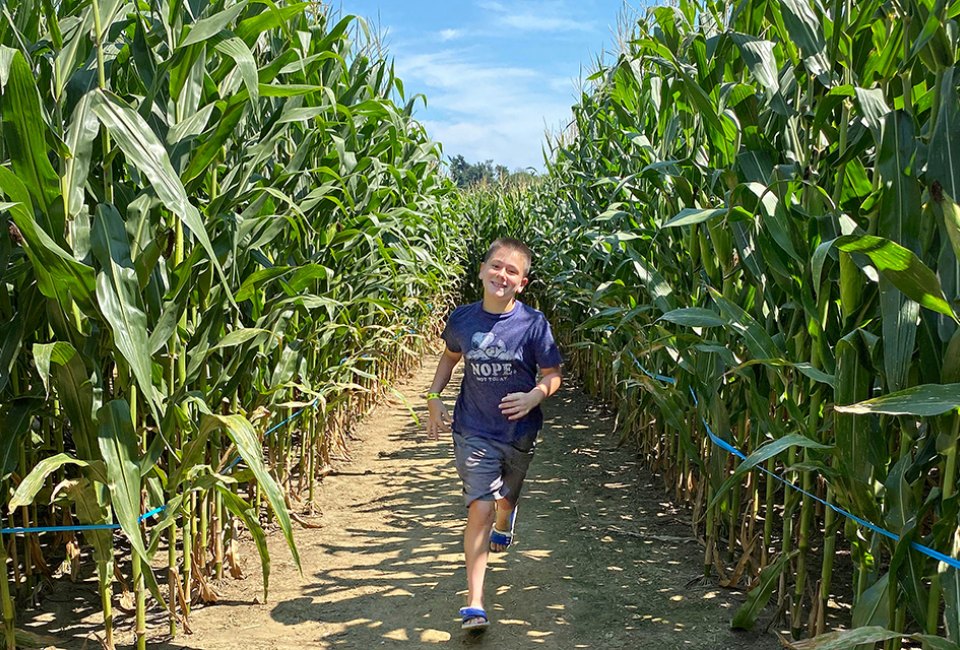 Fun Corn Mazes near Philly--Plus a Few Hay Mazes! Cherry Crest Adventure Farm's corn maze in Ronks was voted tops in the nation. Photo by Kristen Sullivan