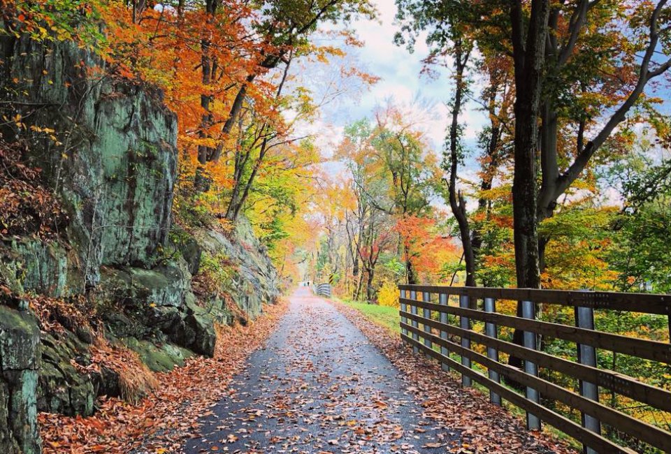 Enjoy the easy walking paths and the beautiful foliage along the Chester Creek Trail. Photo courtesy of the Chester Creek Trail
