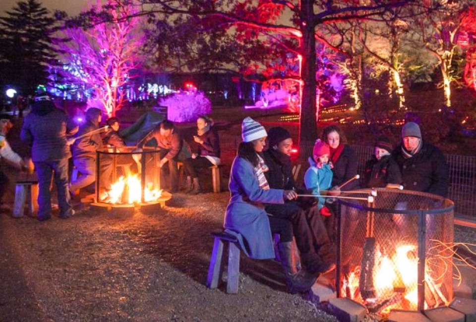 Walk amid thousands of outdoor lights at Illumination: Tree Lights at Morton Arboretum. Photo courtesy of the event