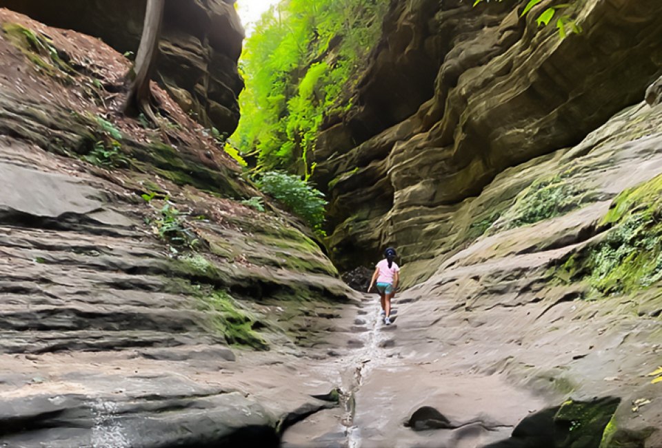 Chicago Spring Break 2025 Starved Rock 
