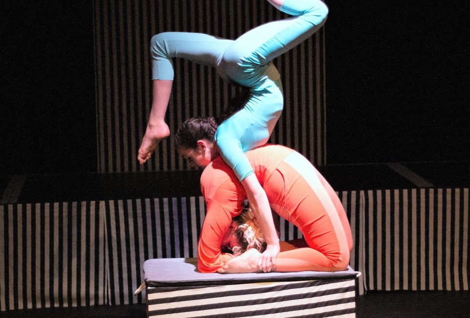 Circophony’s Cirque du Schooleil: Operation Snakeout