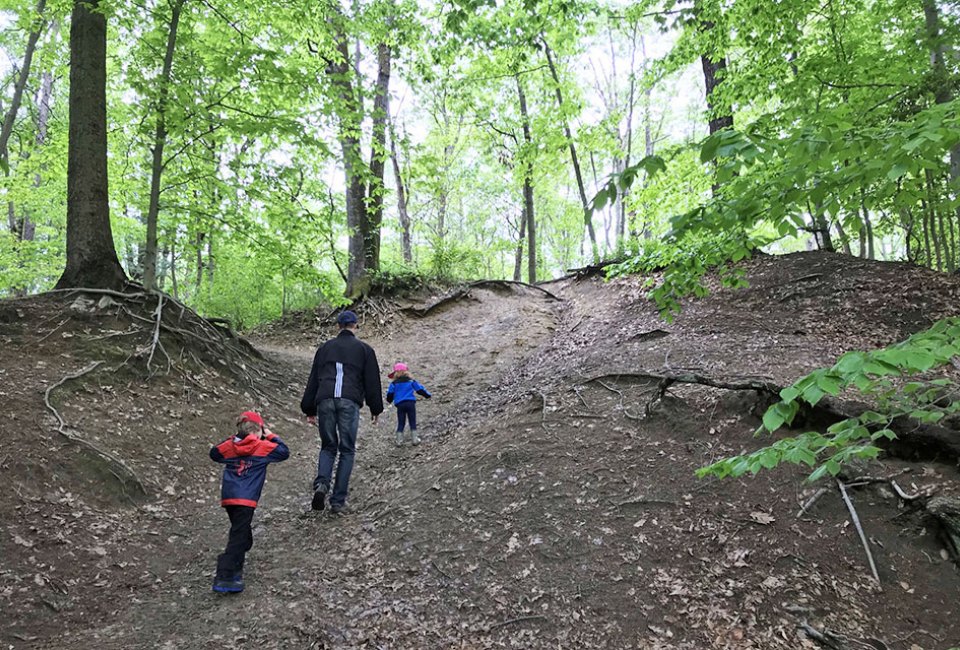 Climb up steep embankments at Crows Woods during a family-friendly South Jersey hike.