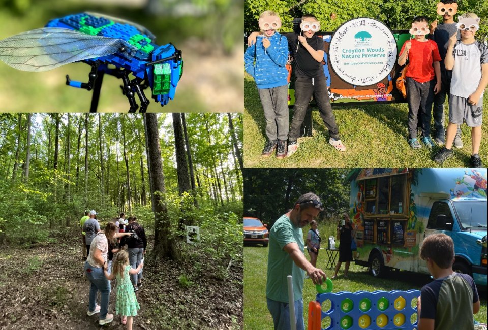 Spring Carnival: Take a Spin in Nature
