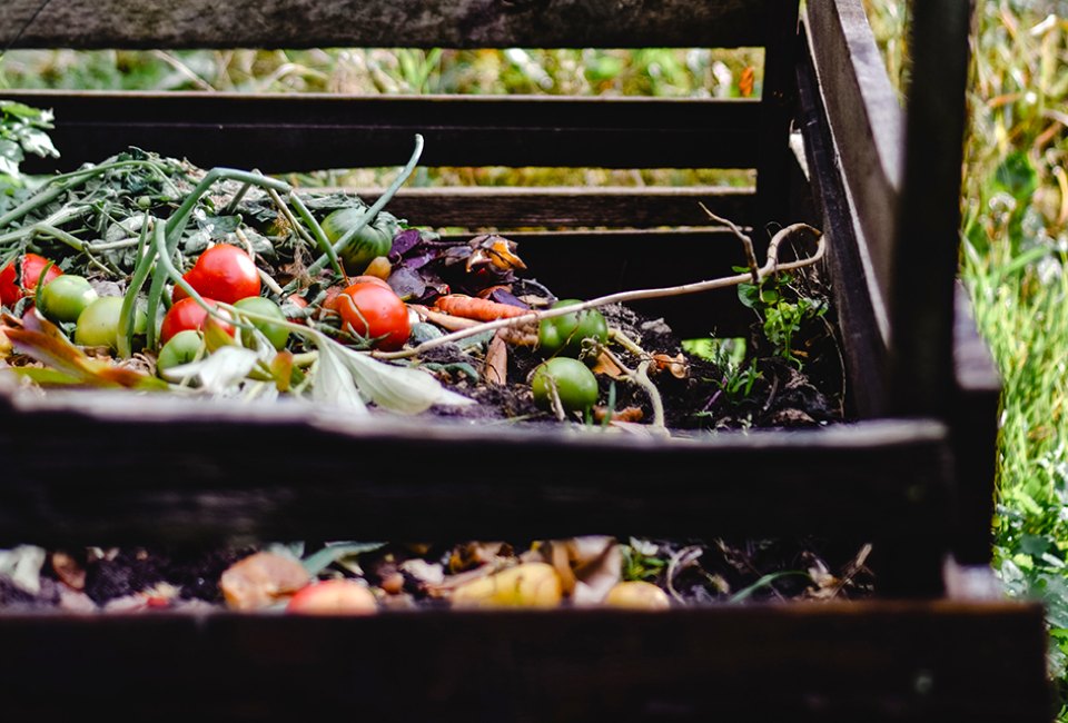 Did you know that compost actually shouldn't be smelly? Photo by Eva Bronzini