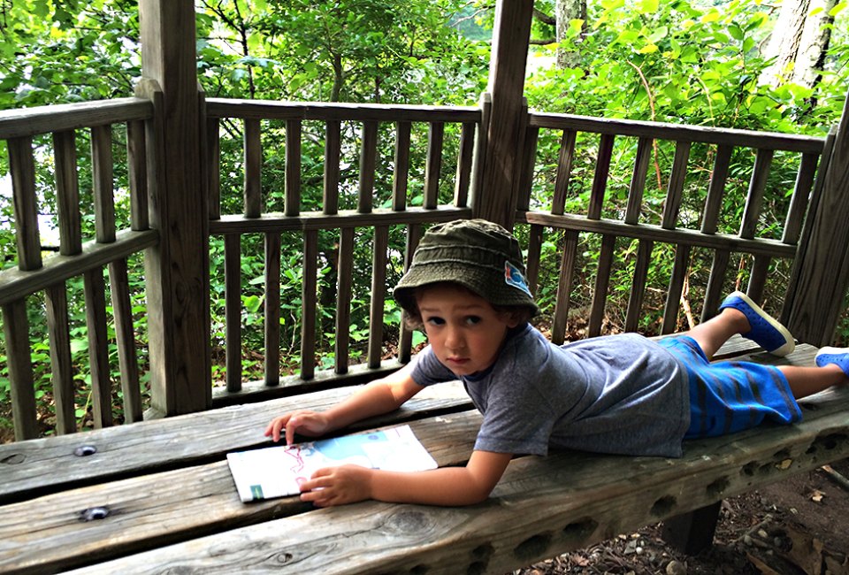 Free Things to Do on Long Island This Summer: explore the mashomack nature preserve boy with map