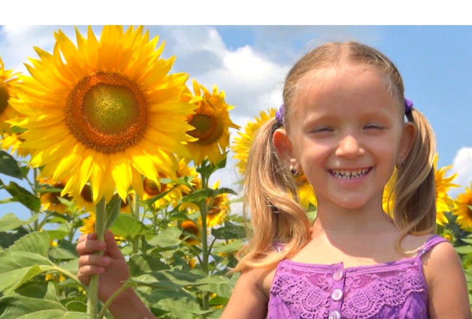 Photo courtesy of Country Barn Sunflower Festival