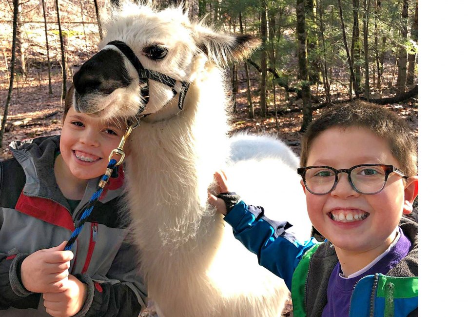 Bond with llamas! Photo courtesy of Country Quilt Llama Farm
