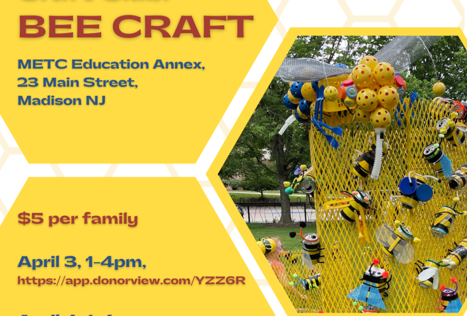 Craft Club: Bee Craft