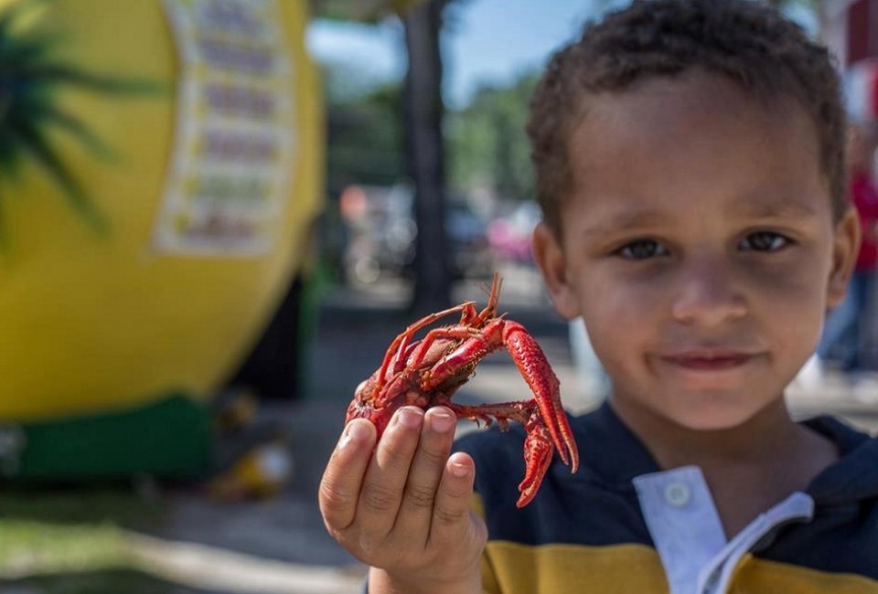 Get crackin' on some mudbugs, listen to live music and play carnival games./Photo courtesy of the Texas Crawfish and Music Festival.