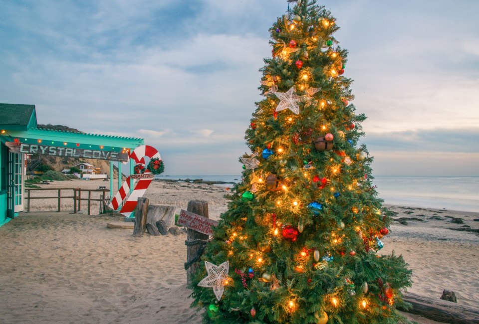 Crystal Cove Tree Lighting & Holiday Bazaar Mommy Poppins Things To