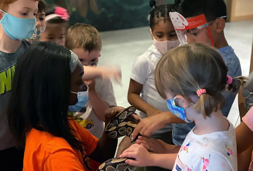 February's winter break on Long Island: Center for Science Teaching and Learning