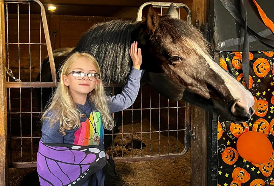 22 Not-So-Scary Halloween Activities and Toddler Events in Connecticut Find kid-friendly Halloween fun with Trick-Or-Treat with the Horses at Rising Starr Horse Rescue. Photo courtesy of Farm River Wildlife Rescue & Rehabilitation.