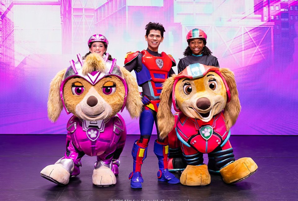 Paw Patrol, Make Fest, and More Fun Things To Do in CT This Weekend Fun takes center stage in Connecticut this weekend! Paw Patrol production photo © 2025 & TM Spin Master Ltd. All rights reserved.