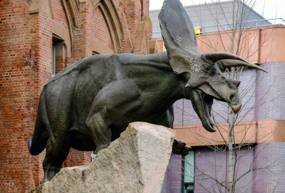 See dinosaurs and so much more at Yale's Peabody Museum of Natural History in New Haven. Photo by Tosh Chiang via Flickr 2.0