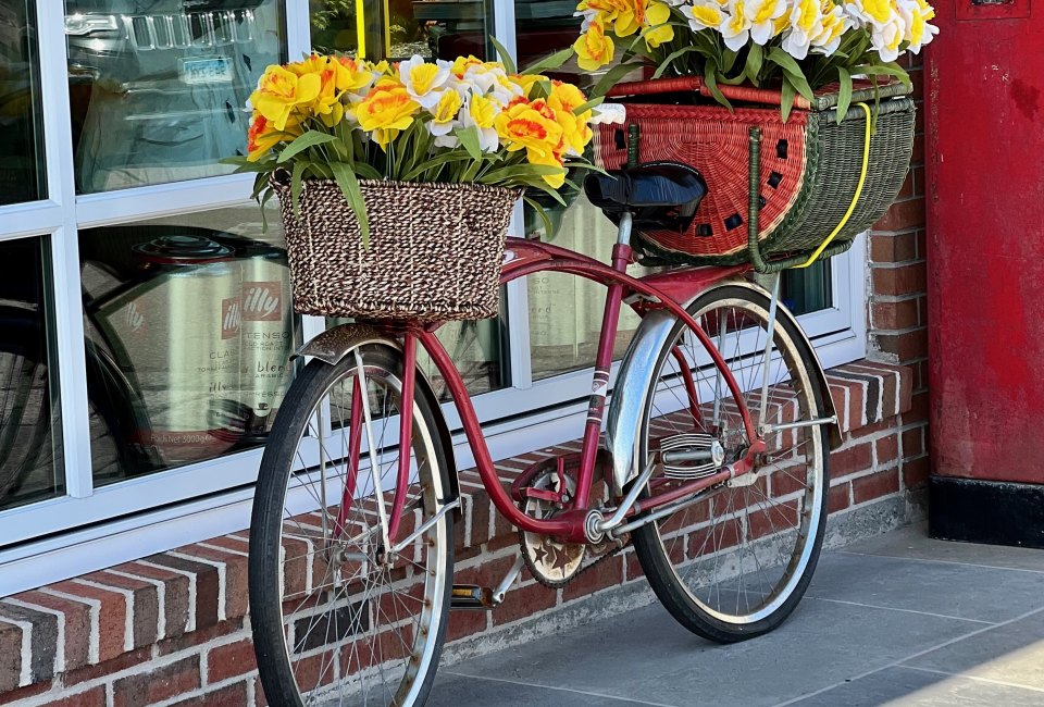 Daffodil Days in Essex