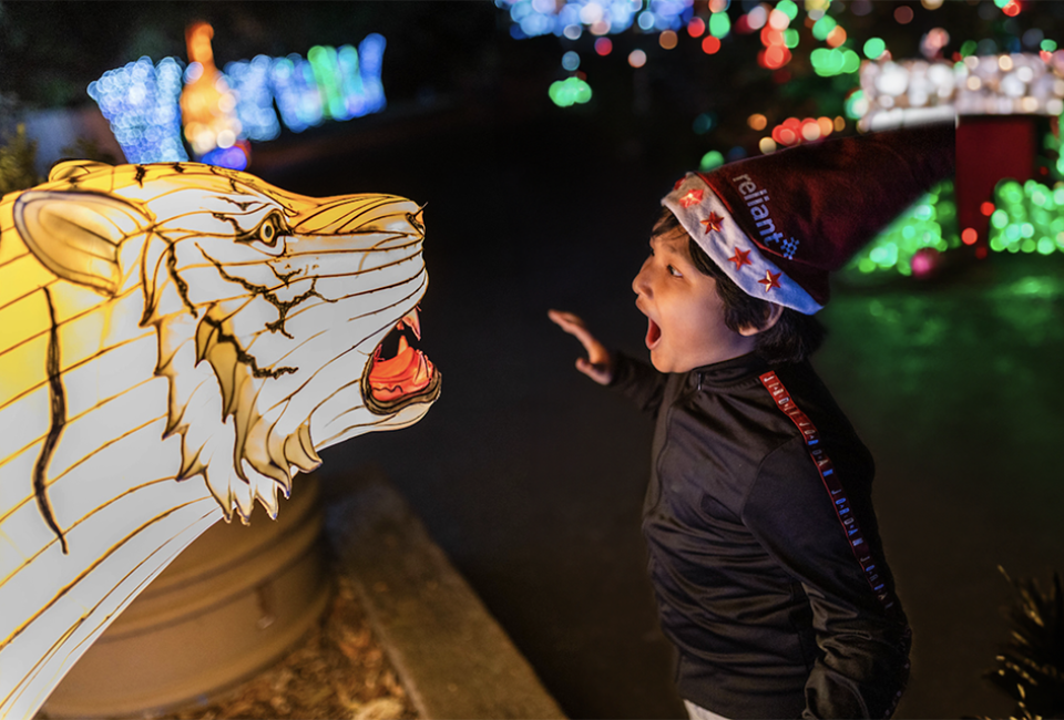 Wander through the Dallas Zoo Lights for a magical experience where wild things glow. Photo courtesy of the zoo