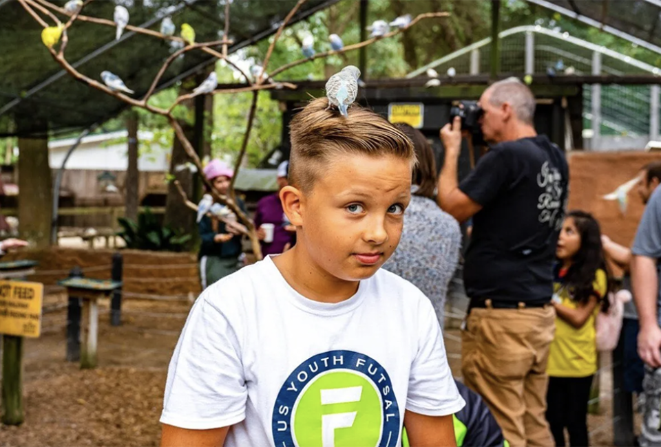 The birds are very friendly at Bee City Zoo!  Photo courtesy of the zoo