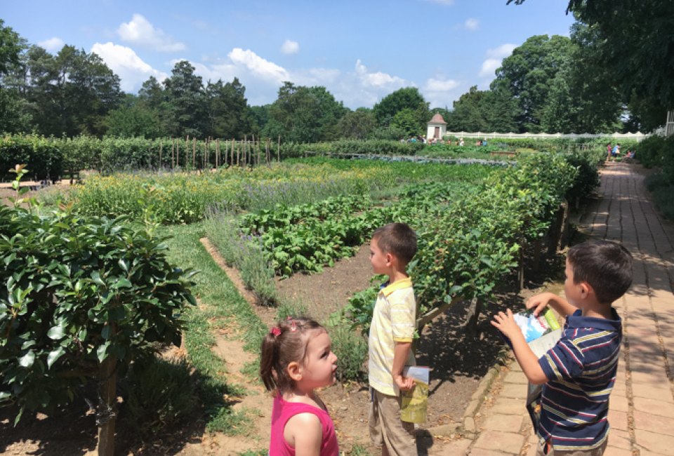Mount Vernon with Kids: Gardens