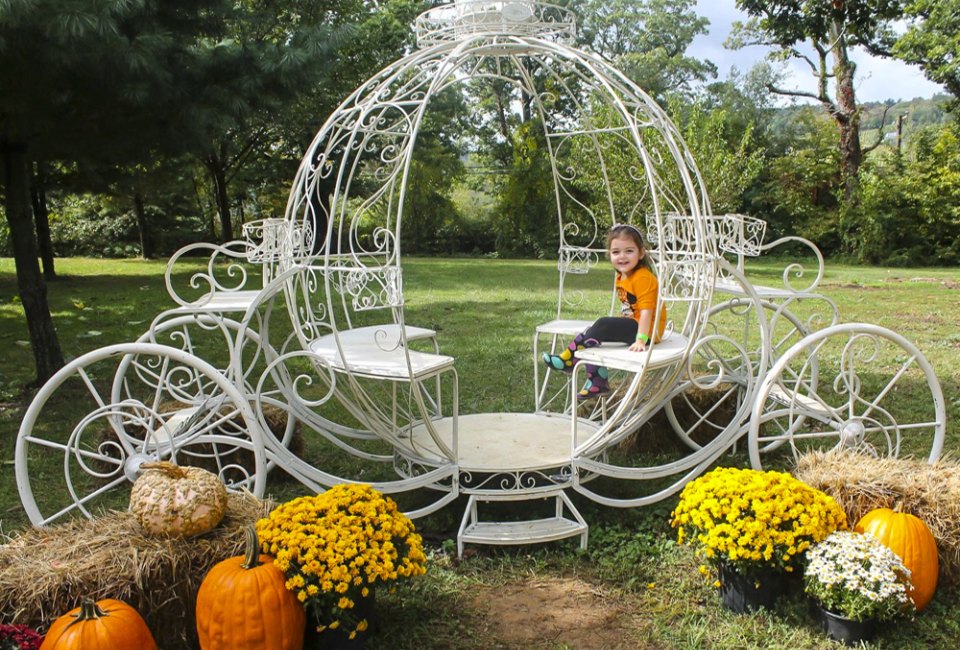 37 Best Things To Do in DC October 2024 with Kids: Halloween Events, Fall Festivals, and More Photo ops abound at the Great Country Farms Fall Pumpkin Harvest Festival. Photo by Jennifer Marino Walters, courtesy of the farm