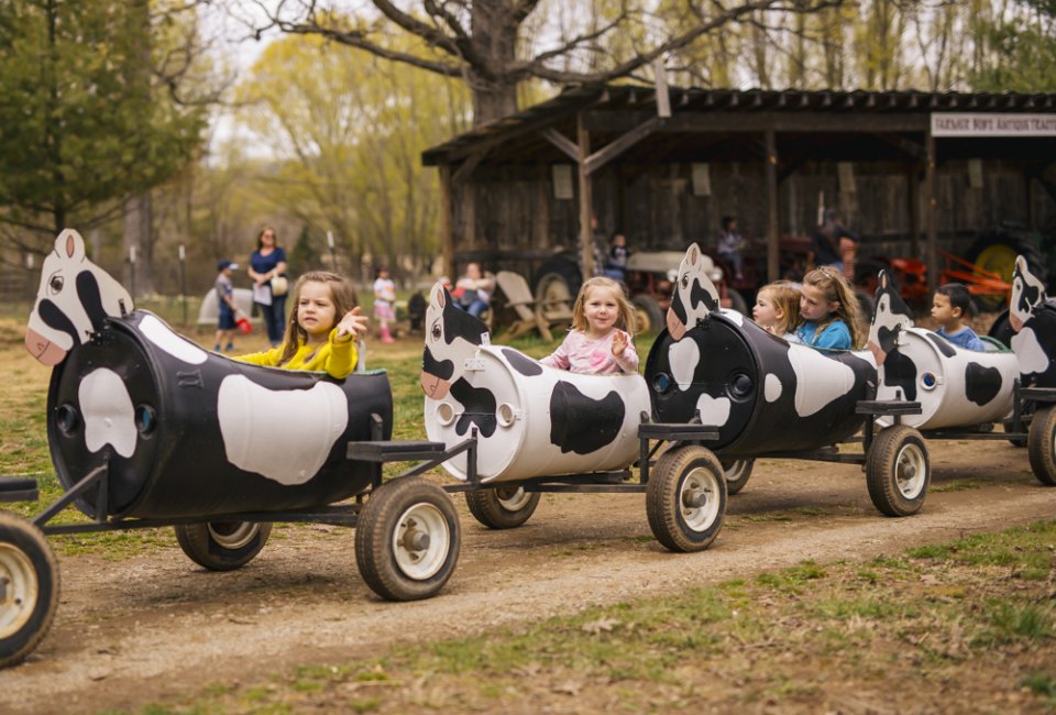 Ride the cow train at Great Country Farms. Photo courtesy of the farm