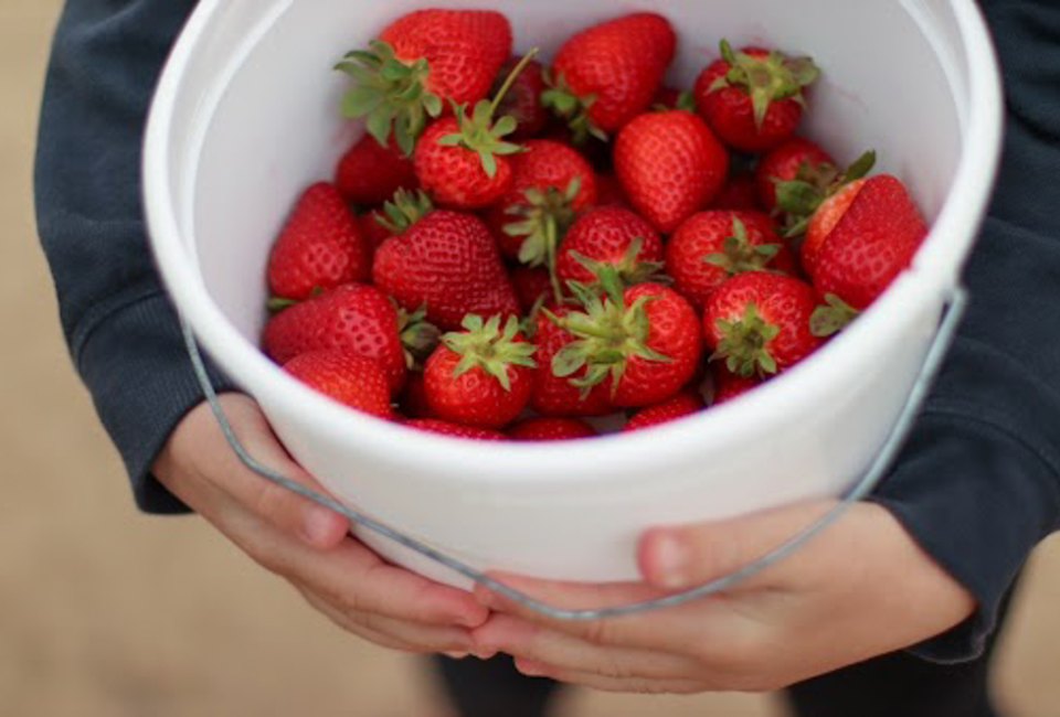 Mother's Day is a great day for a strawberry festival! Photo courtesy of Mommy Poppins