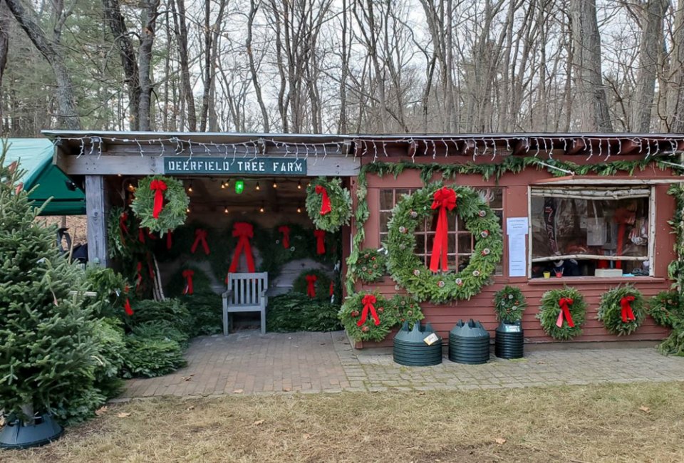 Image of farm stand at Christmas tree farm near Boston