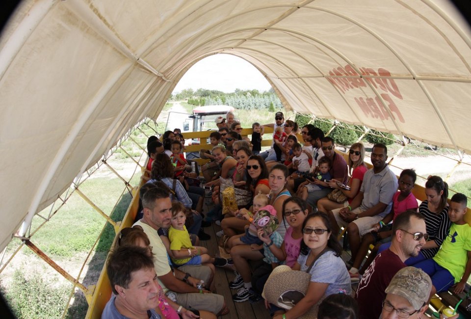 There's nothing like a good, old-fashioned hayride to usher in the fall season./Photo courtesy of Dewberry Farm.