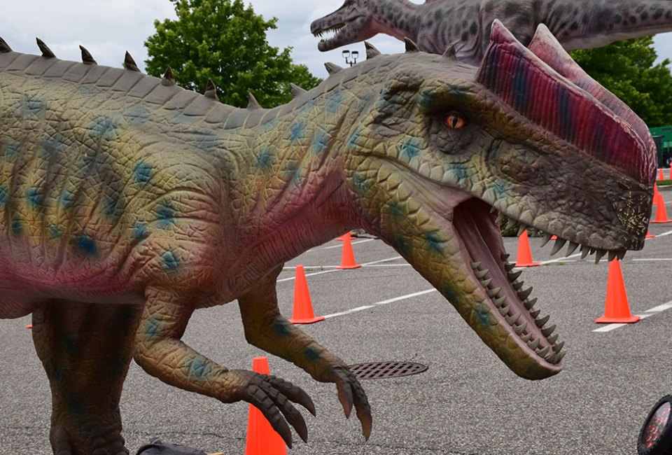 two dinosaurs seen from a car window in a Drive thru Safari