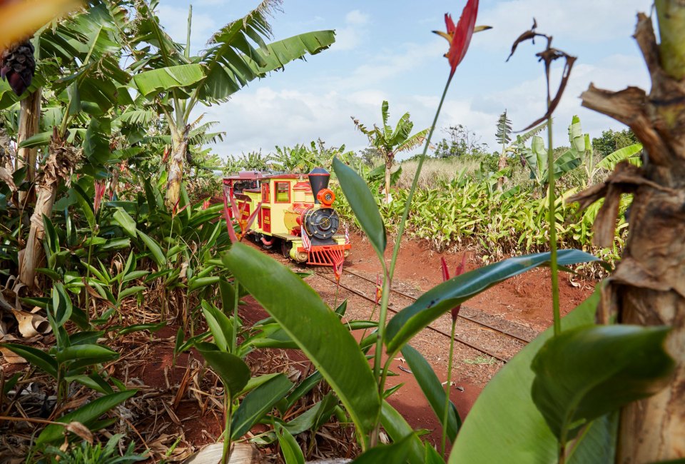 Kids can ride a train through the Dole Plantation. Photo courtesy of the plantation